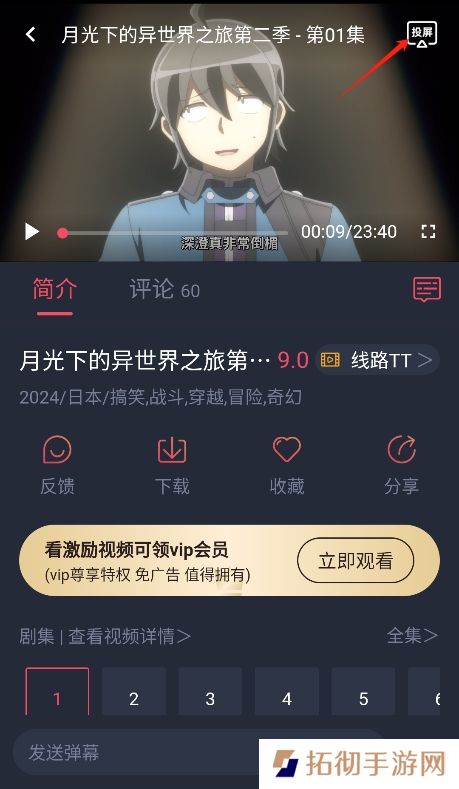 当鸟动漫