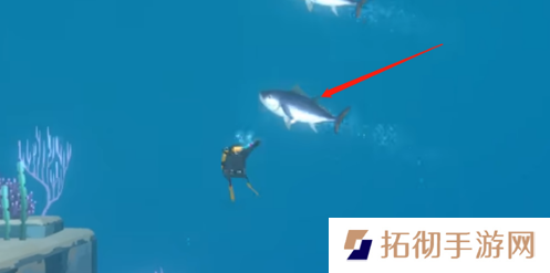 潜水员戴夫金枪鱼怎么抓？黄鳍/蓝鳍金枪鱼捕捉攻略