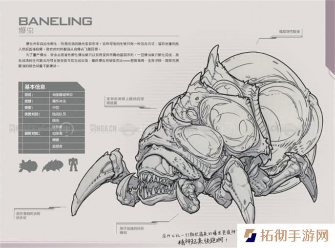 星际争霸2兵种图鉴大全图八