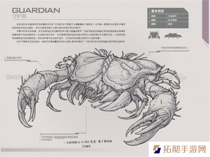星际争霸2兵种图鉴大全图二十三