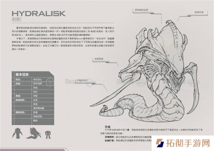 星际争霸2兵种图鉴大全图二