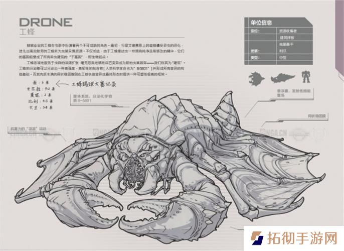 星际争霸2兵种图鉴大全图十
