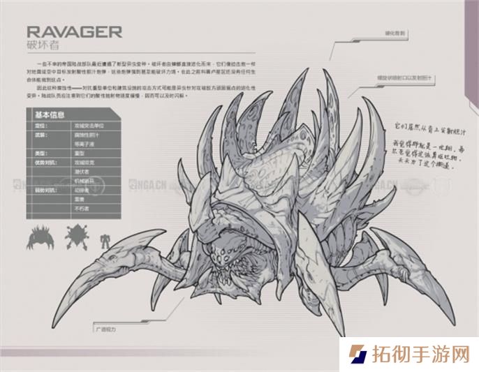 星际争霸2兵种图鉴大全图十九