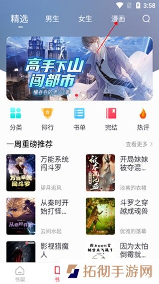 追书大师
