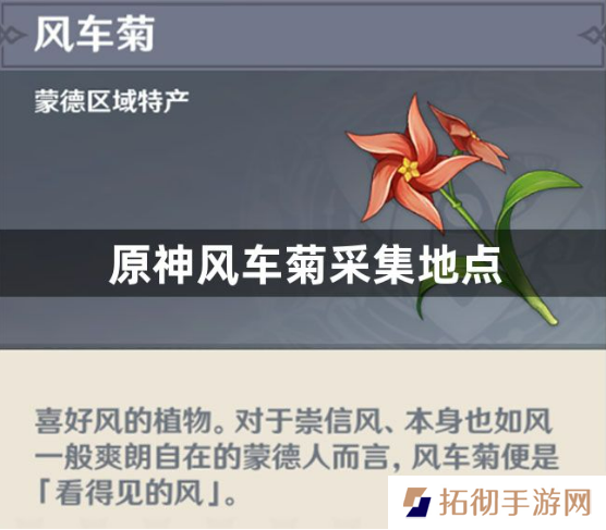 原神风车菊采集地点在哪 风车菊采集地点介绍