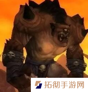 魔兽世界wlk玛古克的宝箱任务完成攻略图五