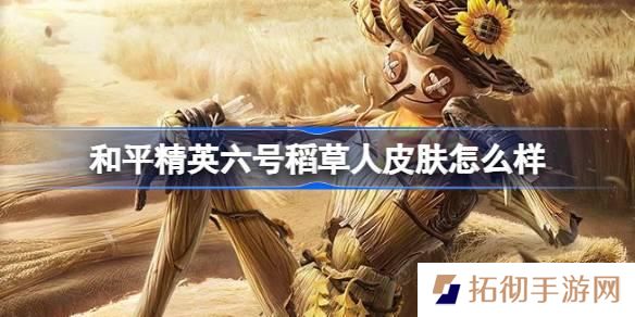 和平精英六号稻草人皮肤多少钱-六号稻草人皮肤价格介绍